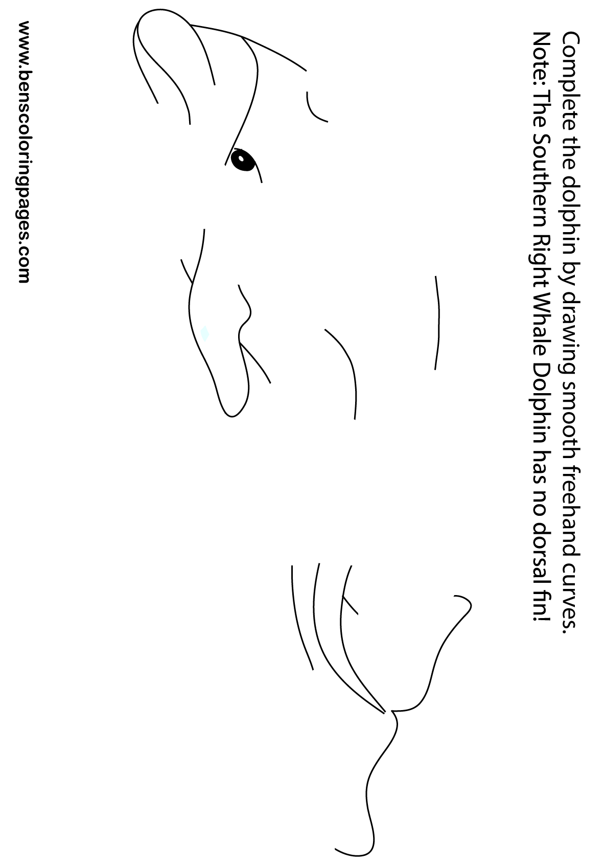 freehand dolphin design