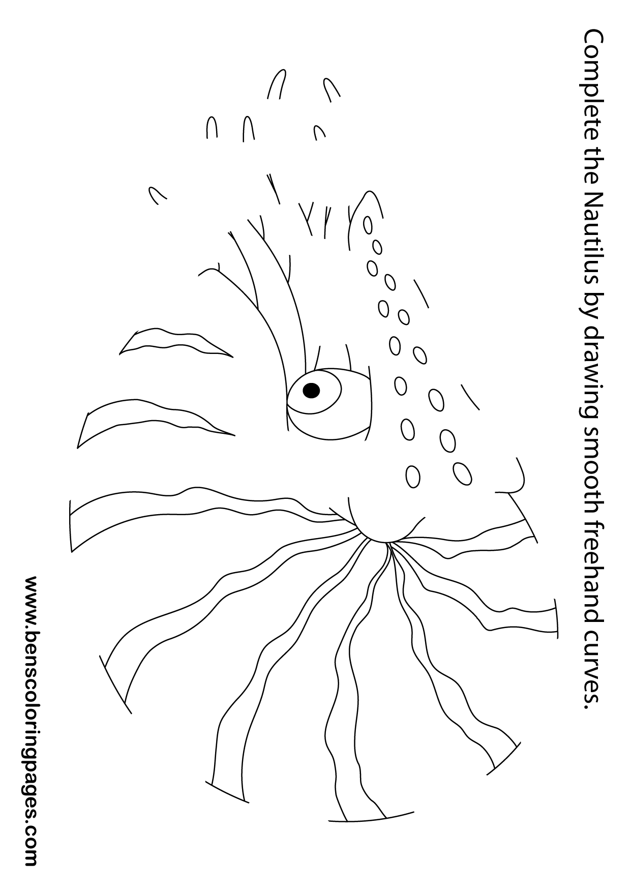 Learning freehand drawing book