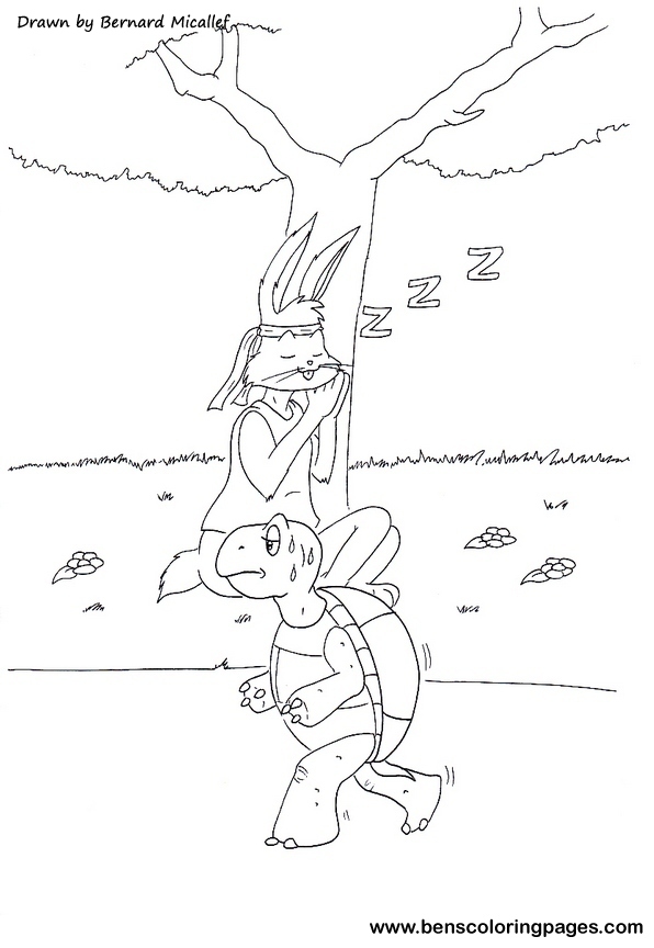 hare and the tortoise coloring book