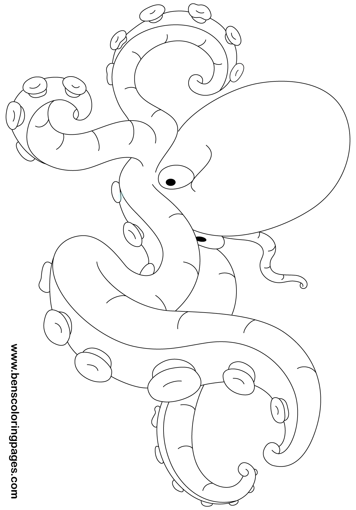 octopus pic kids coloring