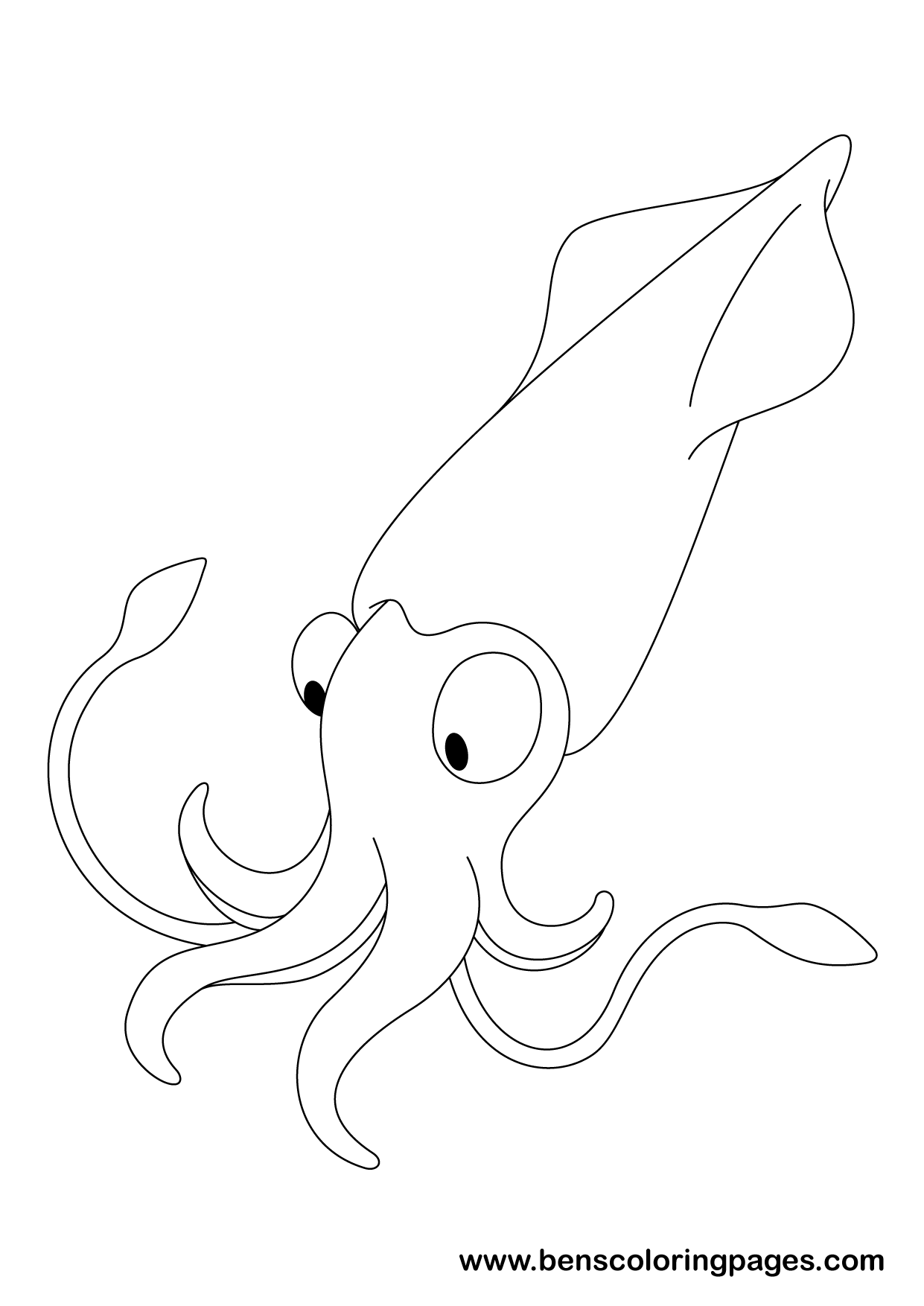 Squid coloring design