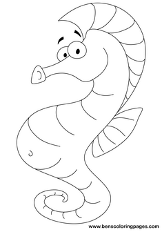 coloring book seahorse