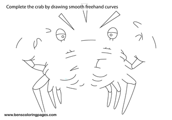 sketching a crab