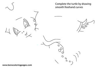 sketching freehand turtle