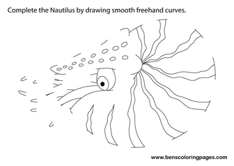 coloring pages nautilus