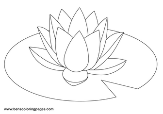waterlilly image