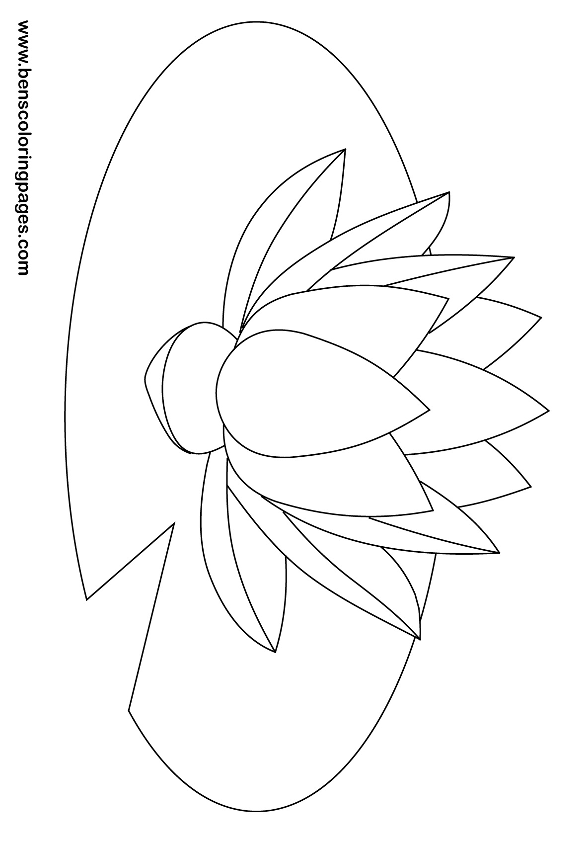 coloring page of a waterlilly