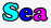 sea