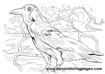 crow pictures to color